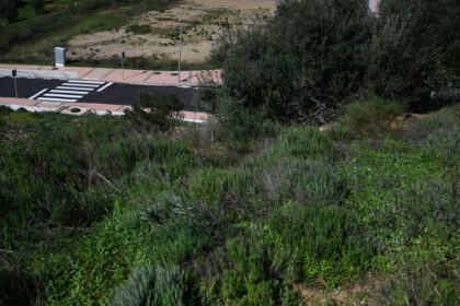 0f41ad4dbd04da874ce8985c185607ee - 5