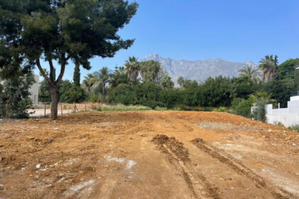 0ff2307d63ea1be508d24a46aa23d411 - 1