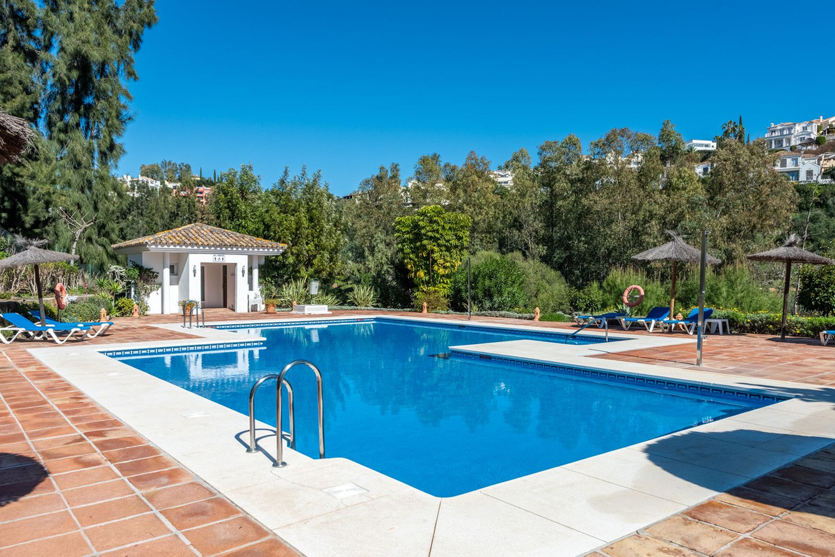 1157914e01314fafbf9c89918e53cebe - 29