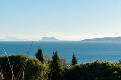 117c1481bcaf7b37d39b6cd19eb45c99 - 42