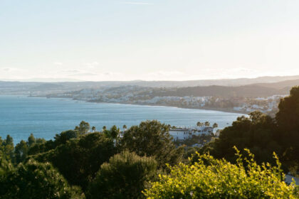 117c1481bcaf7b37d39b6cd19eb45c99 - 43