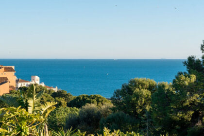 117c1481bcaf7b37d39b6cd19eb45c99 - 44