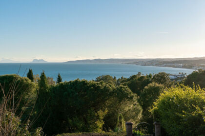 117c1481bcaf7b37d39b6cd19eb45c99 - 45