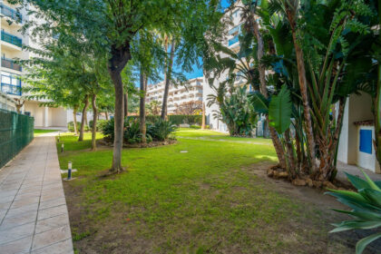 12637434384d0e0bbdabedfc8a49dfa0 - 65