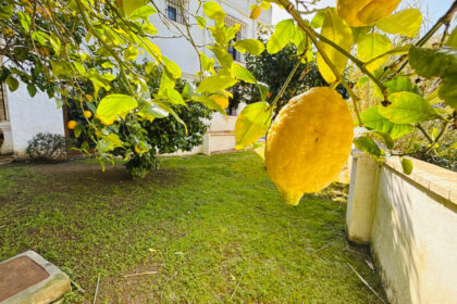 14c8bc576ff73ac7351a2644bf3a7095 - 16