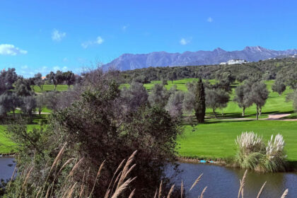 14c8bc576ff73ac7351a2644bf3a7095 - 2