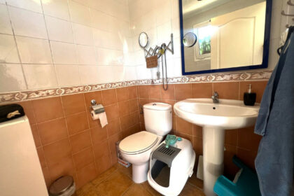 157fd1f974a02f5d2c96190f7d521316 - 12