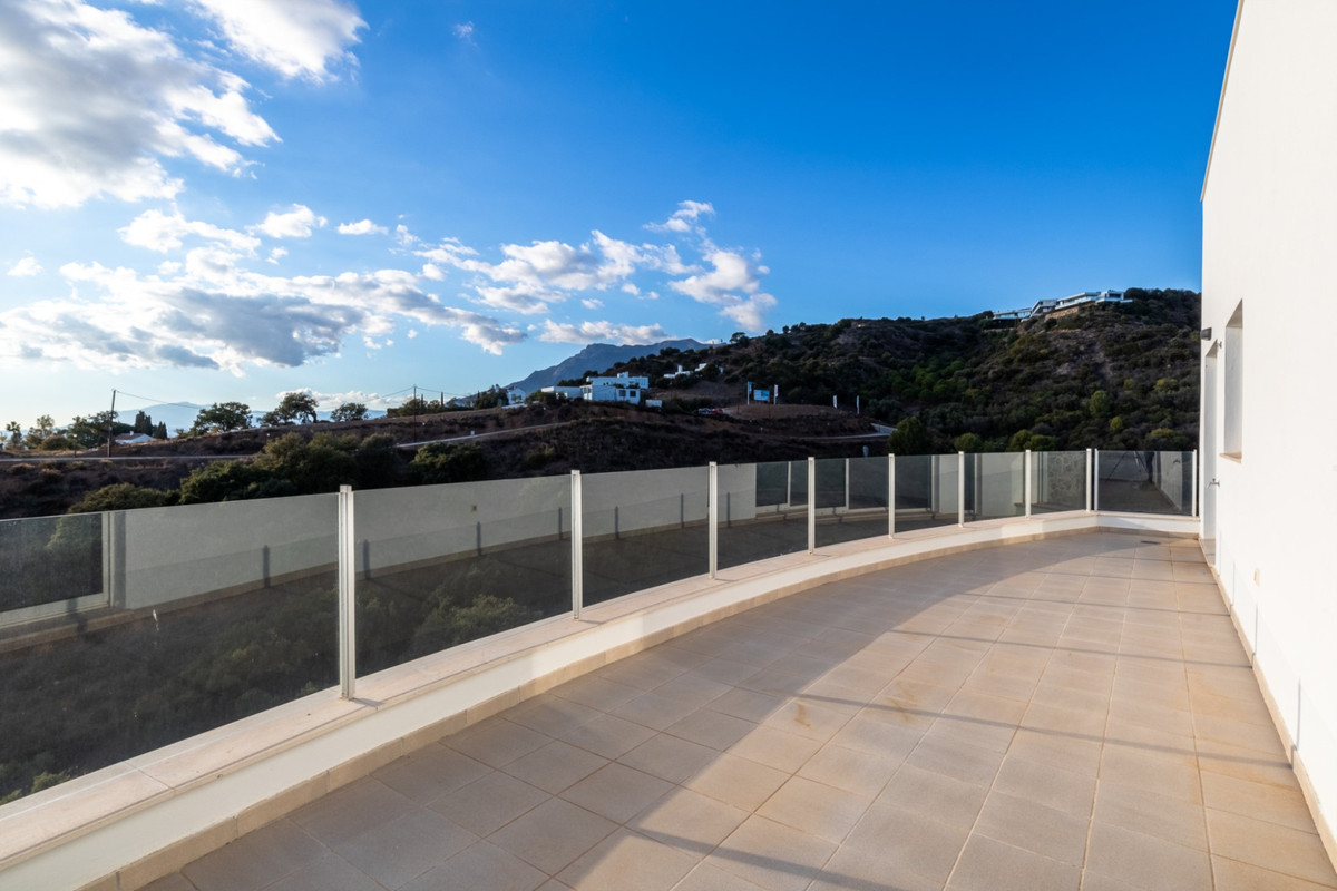 177da0f15f7059b19e09fd0a77d357e6 - 23