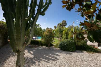 1a76b212583184f4cf8287054010d246 - 20