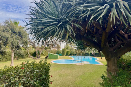 1c40ff1854e09bc05df6e3b00331ec9d - 21