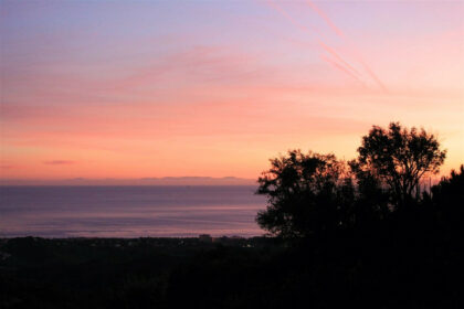 1cab9e5a31efd8320958acf5829cafaf - 19