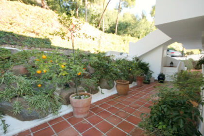 1cab9e5a31efd8320958acf5829cafaf - 23