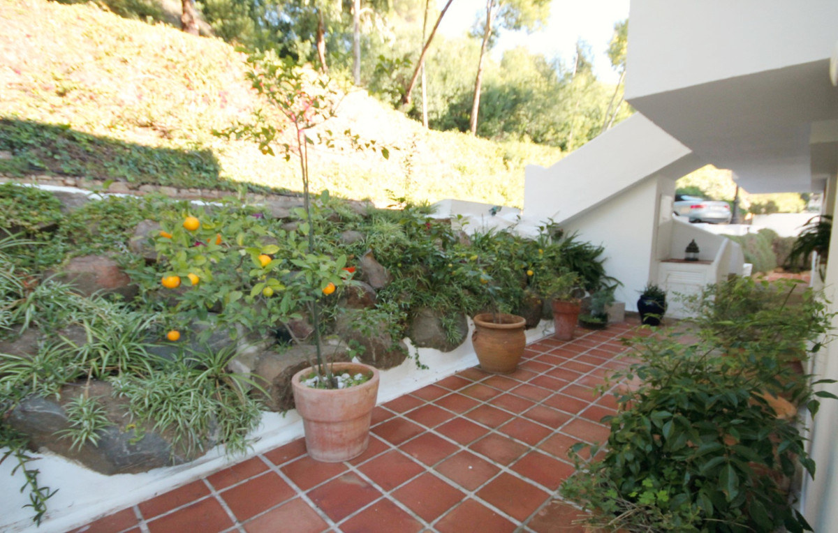 1cab9e5a31efd8320958acf5829cafaf - 23