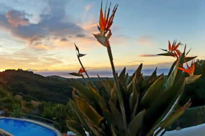 1cab9e5a31efd8320958acf5829cafaf - 24