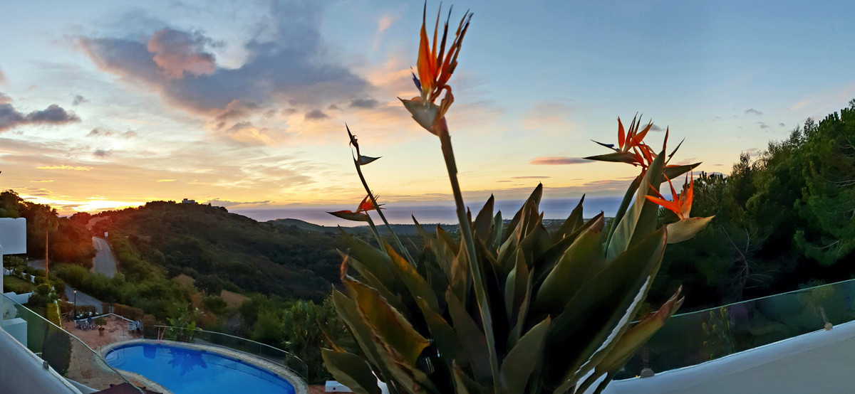 1cab9e5a31efd8320958acf5829cafaf - 24