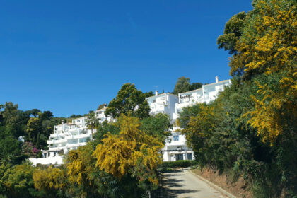 1cab9e5a31efd8320958acf5829cafaf - 26