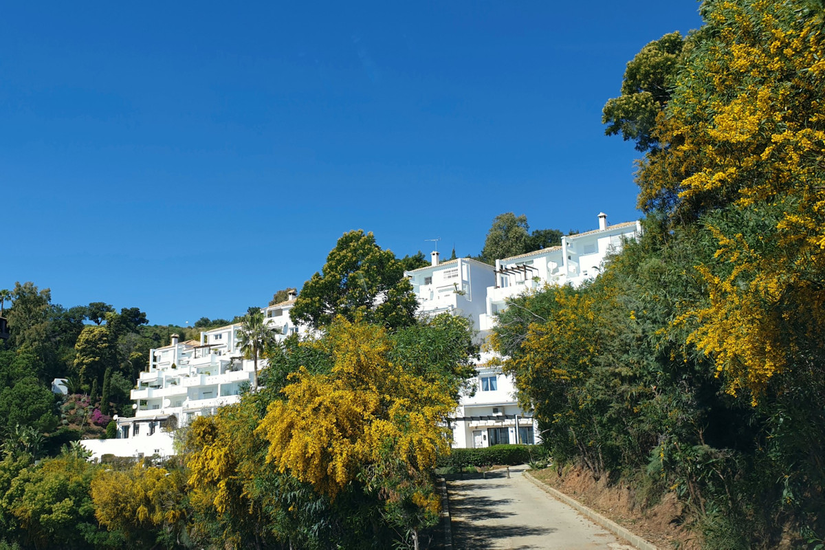 1cab9e5a31efd8320958acf5829cafaf - 26