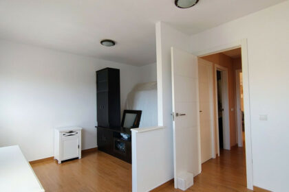 1da854bb29e825fdcf5a6ee557425481 - 25