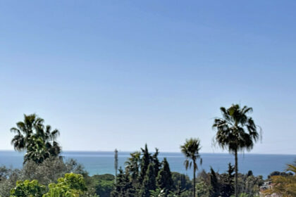 1edc1c90499e4edae09935b97c333121 - 50