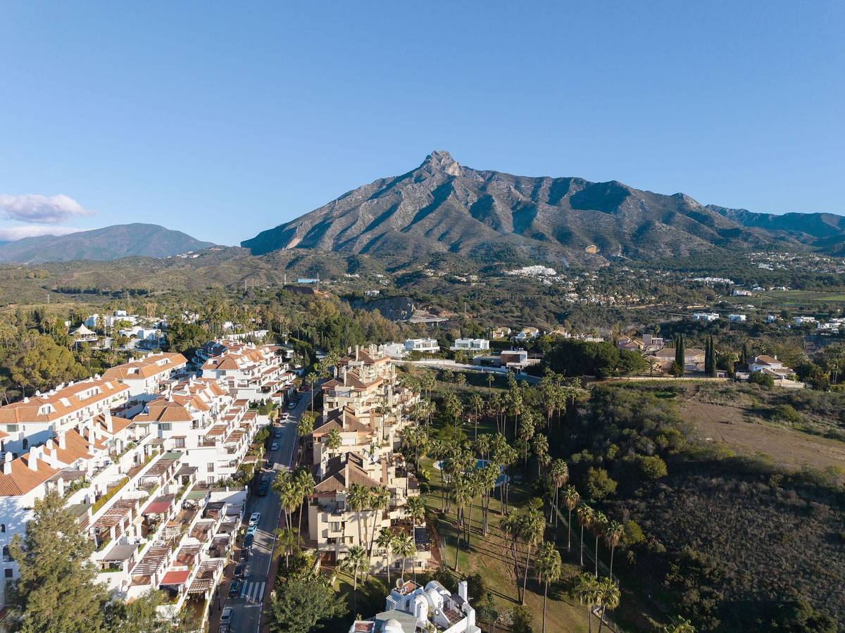 1f48aa431dac06c3b3ddabbf9a3a3e6b - 50