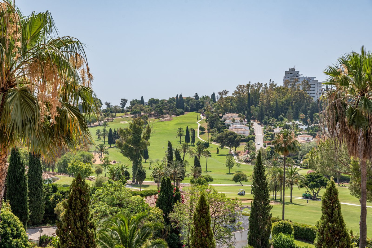 208bb996f47ca18a62d44605cf267480 - 21