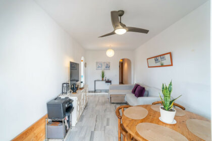 21739b17264fa400aa7da773e20f8375 - 12