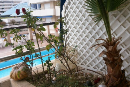 222ddc4b49e73bb1e63eae8185e56baa - 17