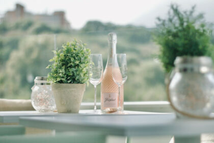 26e46368a1a4d380a5ecb5f39a6e0498 - 17