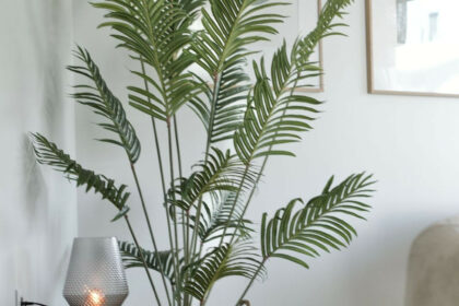 26e46368a1a4d380a5ecb5f39a6e0498 - 7