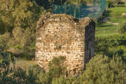 2733ed12f074323d4fd8a9035d323f0a - 12