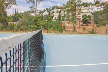 2733ed12f074323d4fd8a9035d323f0a - 17