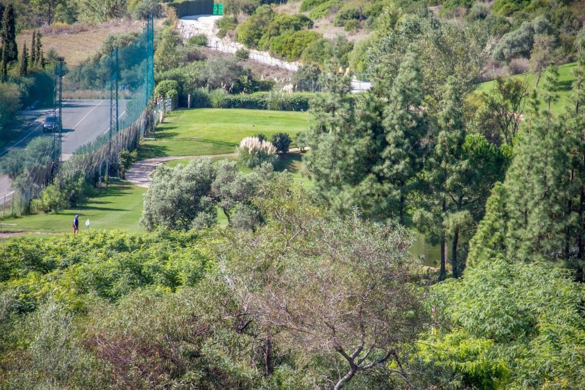 2733ed12f074323d4fd8a9035d323f0a - 4