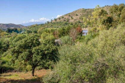 2733ed12f074323d4fd8a9035d323f0a - 6