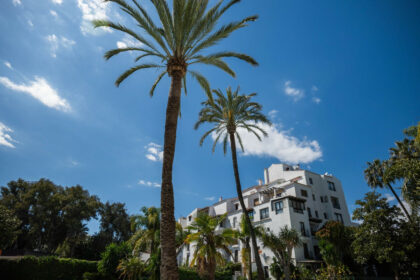 2850cbc2b8faa15ca01171c7467618ad - 31