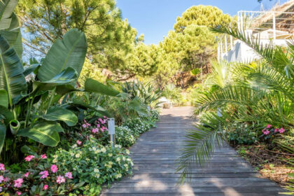 2abcd68dfd8279794252b51942e5e979 - 55