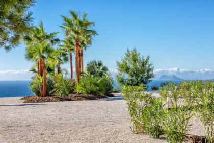 2abcd68dfd8279794252b51942e5e979 - 69