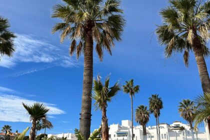 2af20327332b8a2687578602266b961d - 42