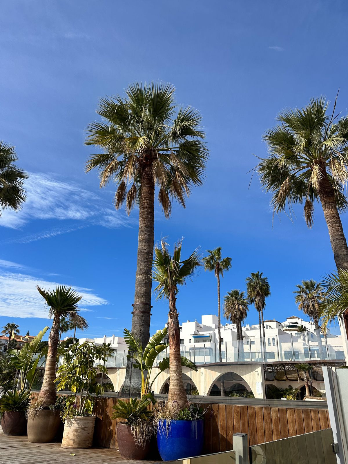 2af20327332b8a2687578602266b961d - 42