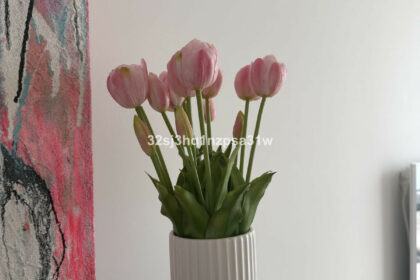 2c303595216446930ae8fbdf614f2ff4 - 3