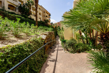 2e918c936aef4bfa9d9527f6292571b7 - 29