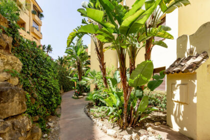 2e918c936aef4bfa9d9527f6292571b7 - 8