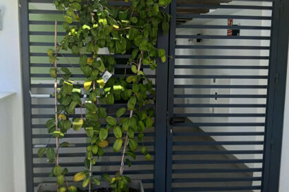 2efcdd5c9fecab37882cd6beff7a6f08 - 11