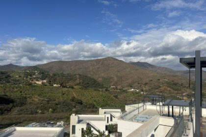 2f7c5ccfc761d83fc465954454fef5b8 - 31