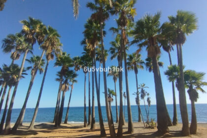 2fedf64dac3bcc3481d2a59a1abc268d - 33