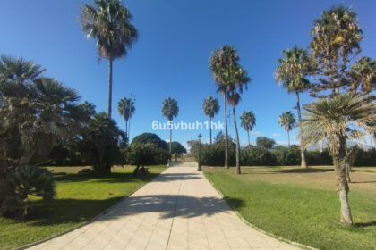 2fedf64dac3bcc3481d2a59a1abc268d - 38