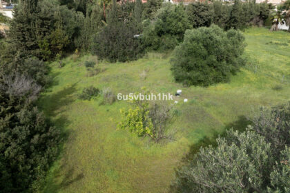 35f27fc95c3e54bcc5ef8053c065d876 - 13