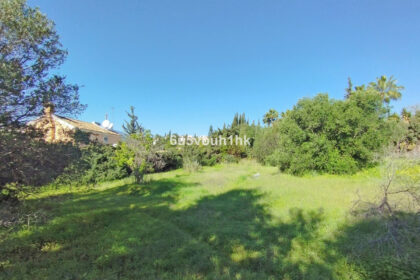 35f27fc95c3e54bcc5ef8053c065d876 - 16