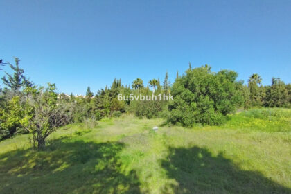 35f27fc95c3e54bcc5ef8053c065d876 - 17