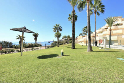 3ba83f35636864f341acfb64d4796a51 - 1