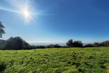 3bc94927093c0780a5aa896457a74651 - 1